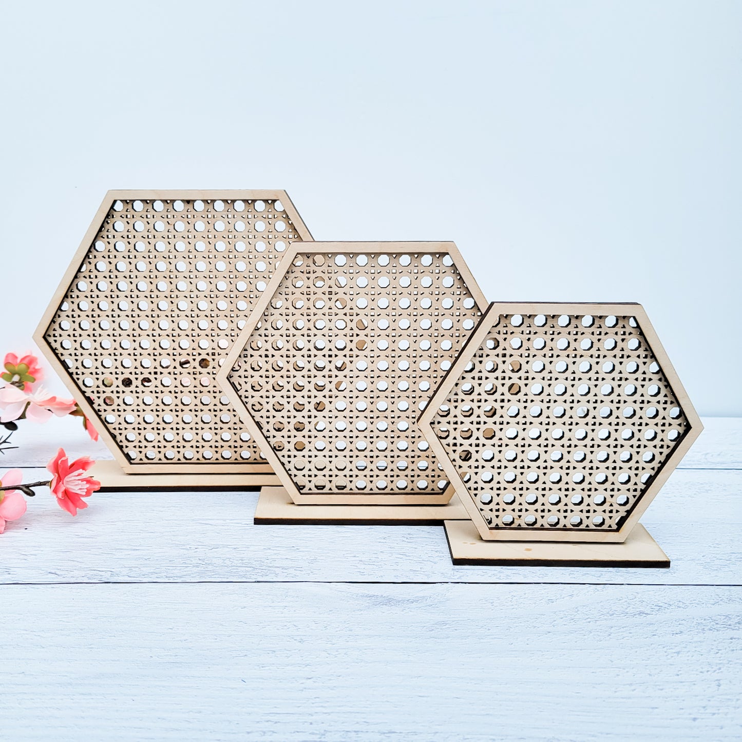 Medium Hexagon Rattan Earring Stand