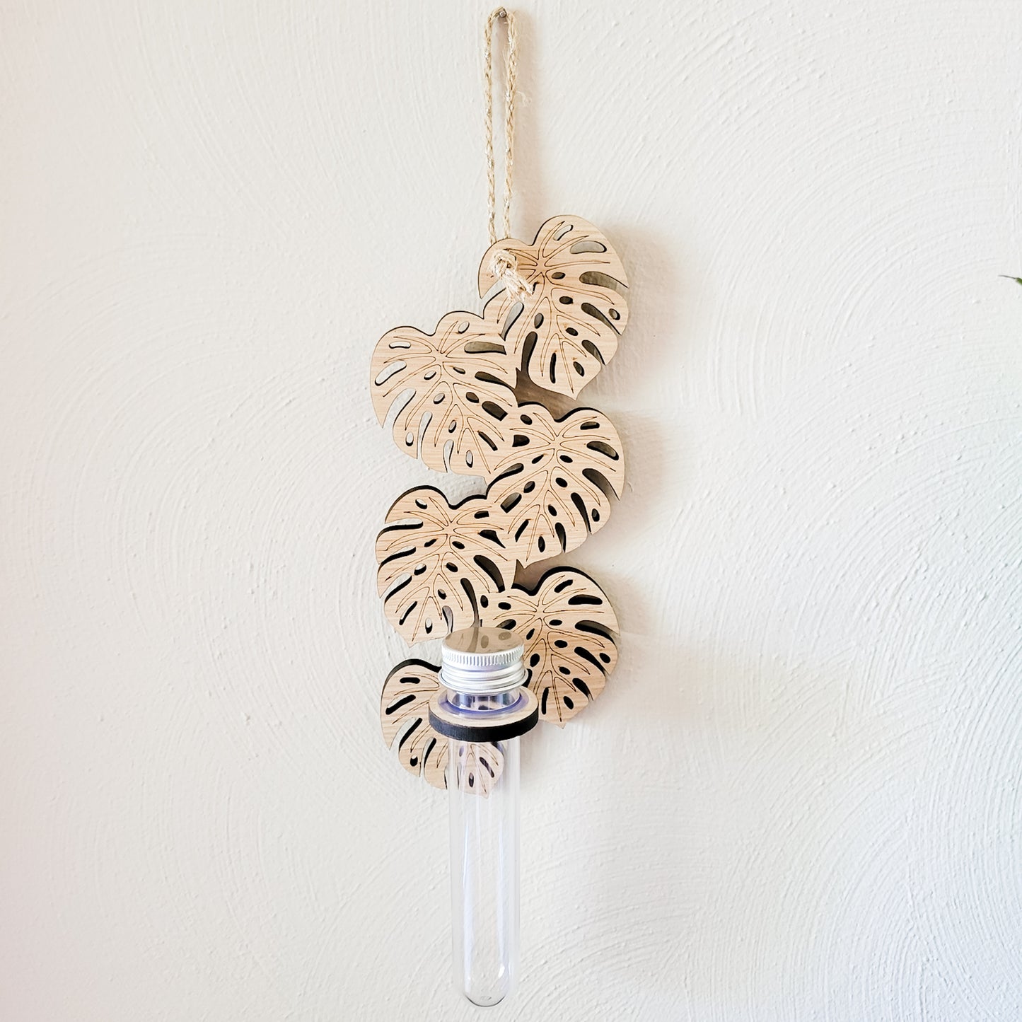 Monstera Leaf Single Propagation Tube Vertical Wall Hanging